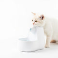 Fonte de água automática para gatos